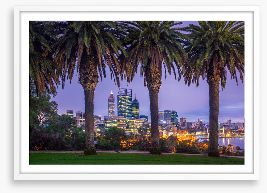 Perth through the palms