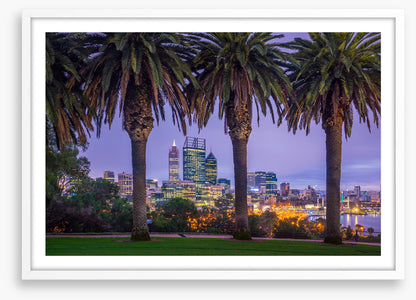 Perth through the palms