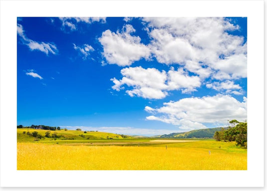 Agriculture