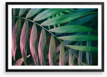 Sunset in the jungle