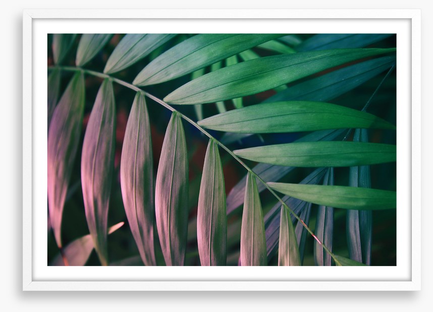 Sunset in the jungle