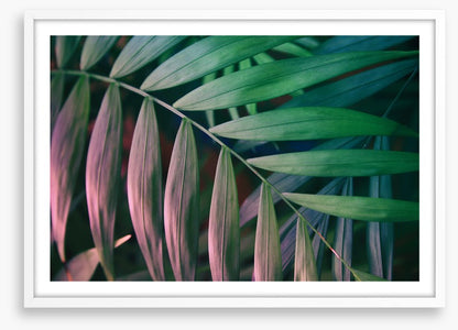 Sunset in the jungle