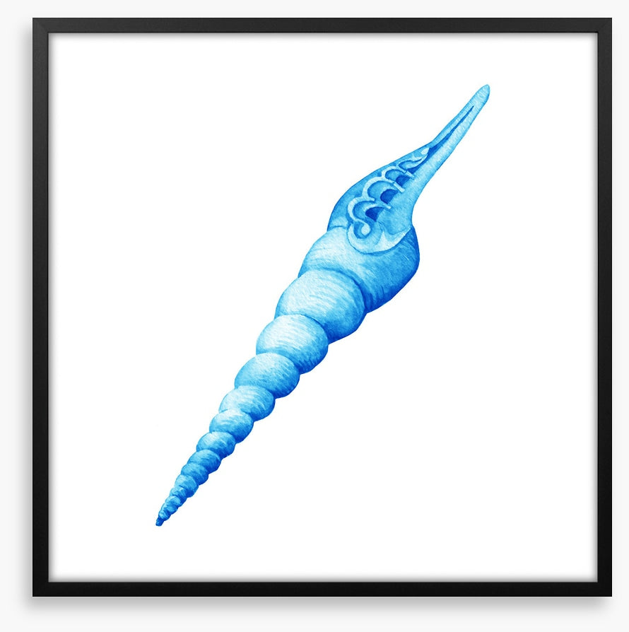 Blue spiral shell