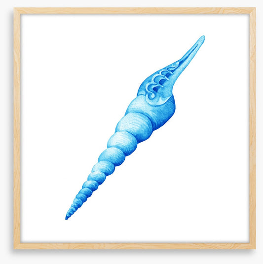 Blue spiral shell