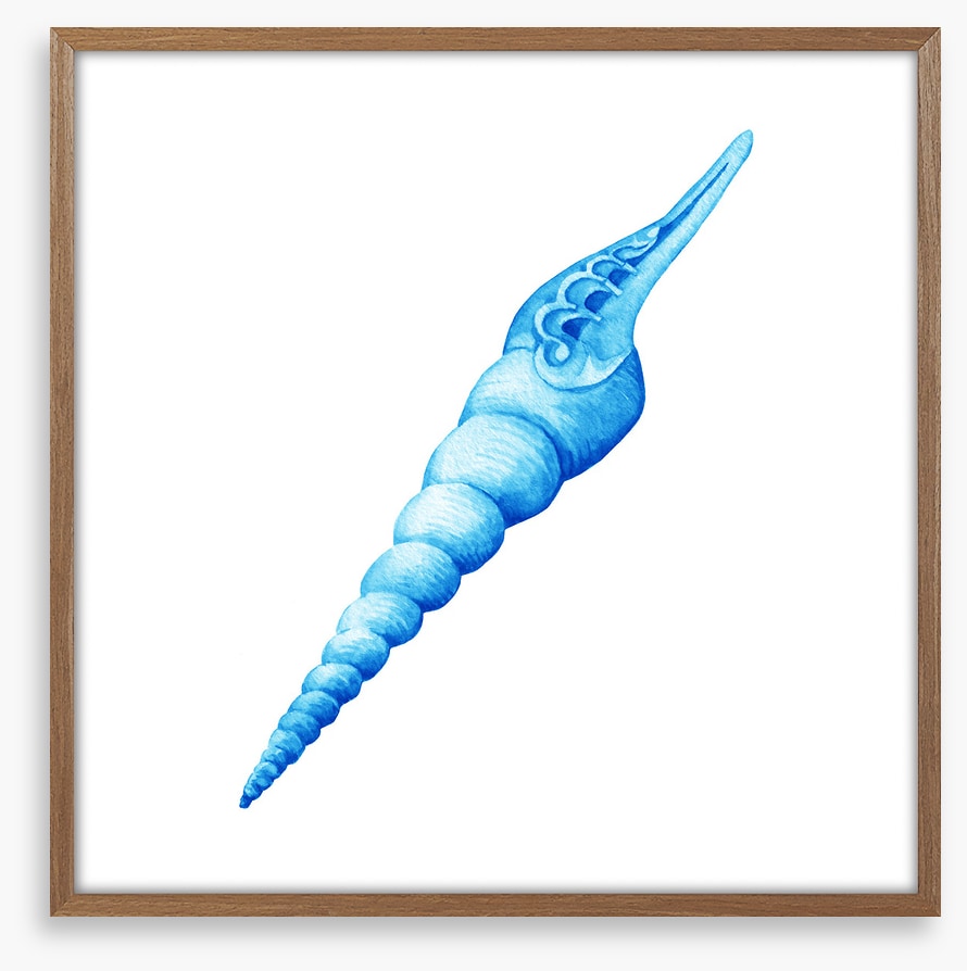 Blue spiral shell