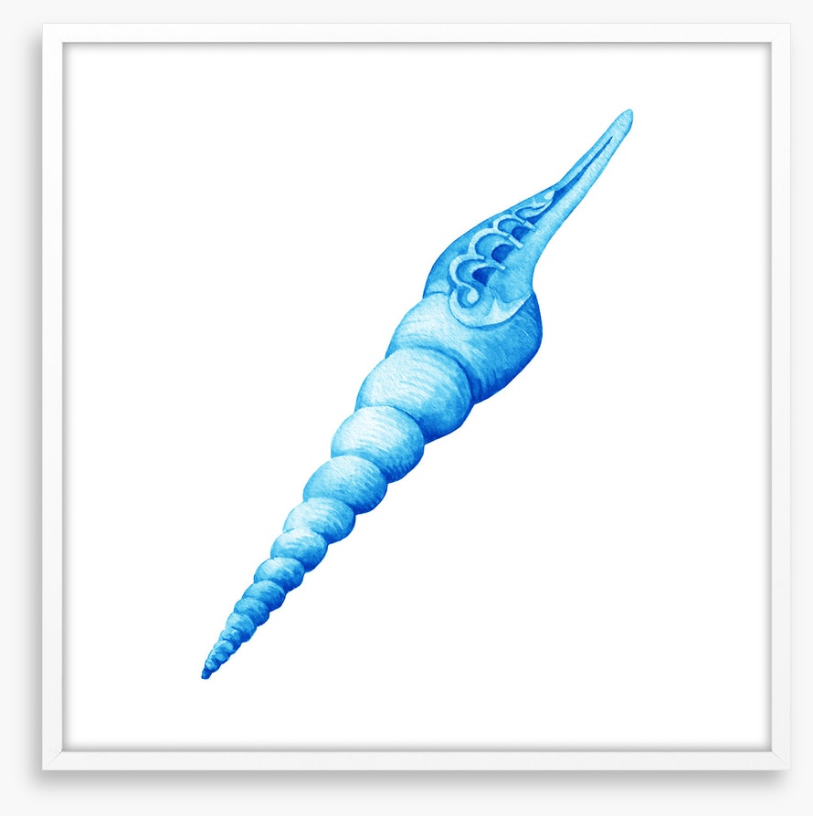Blue spiral shell