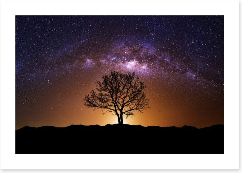 The cosmic tree