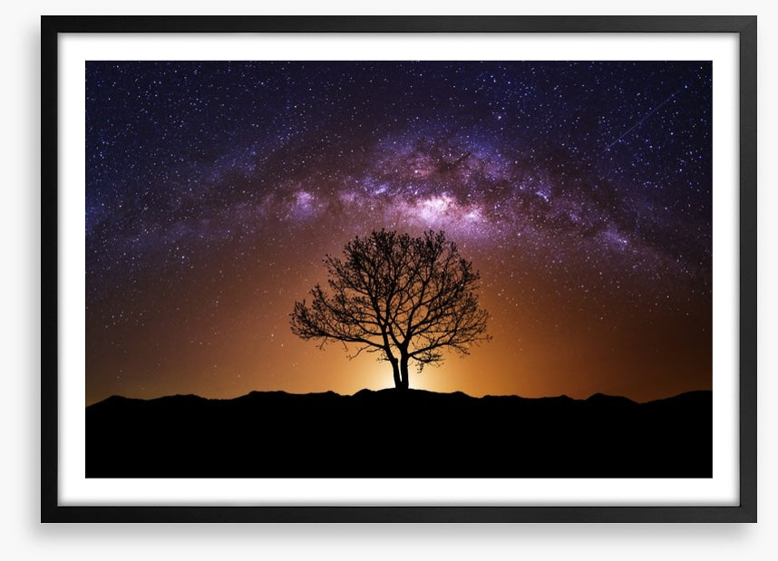The cosmic tree