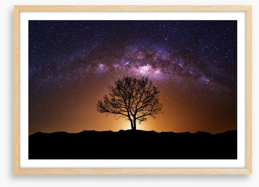 The cosmic tree