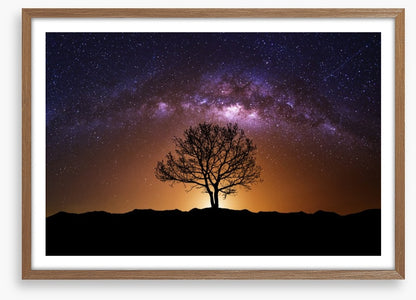The cosmic tree