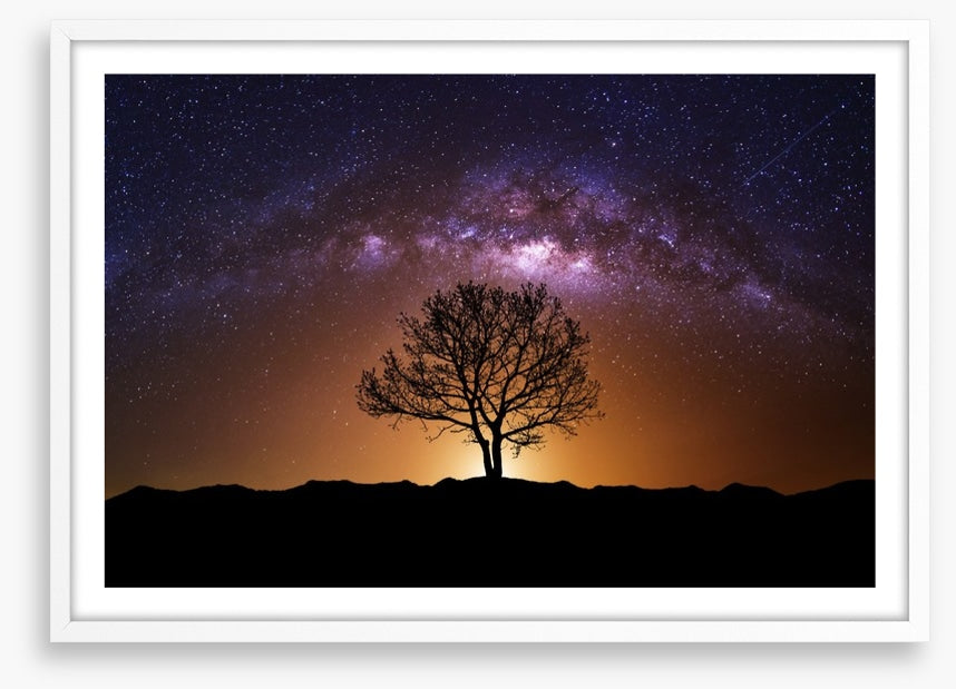 The cosmic tree