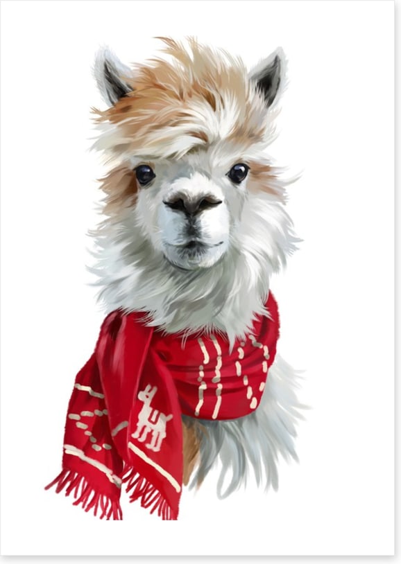 Chilly alpaca