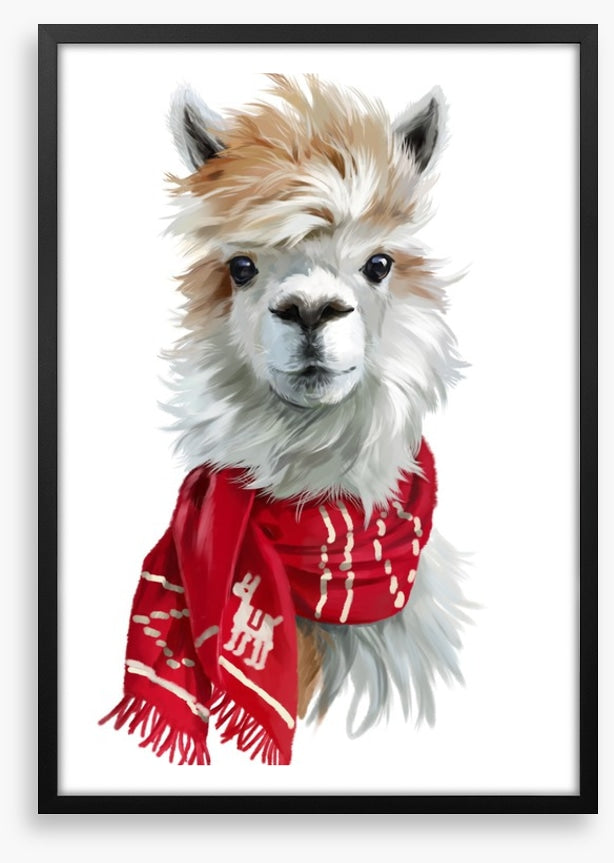 Chilly alpaca