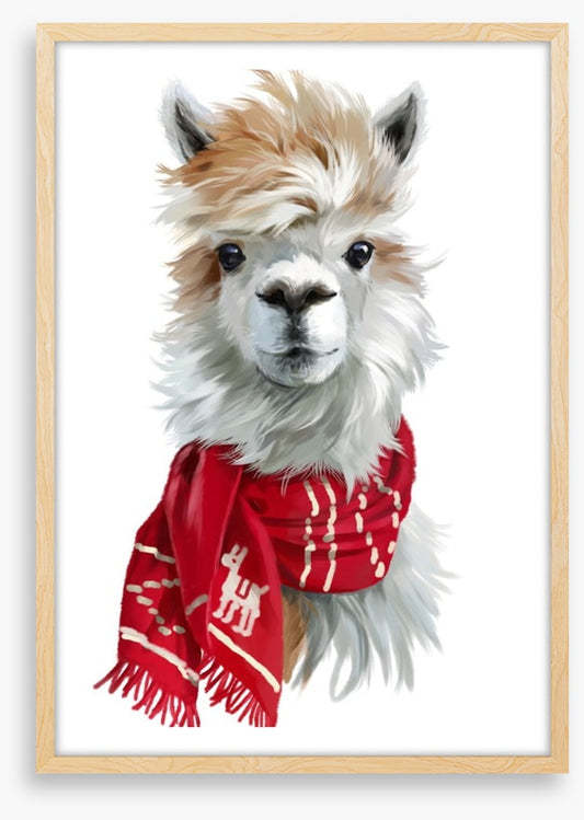Chilly alpaca