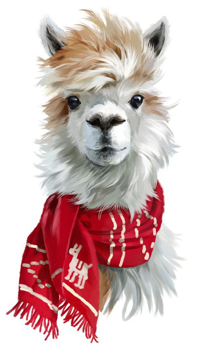 Chilly alpaca