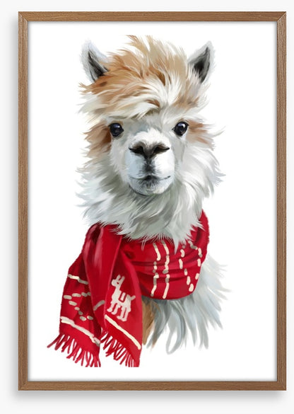 Chilly alpaca