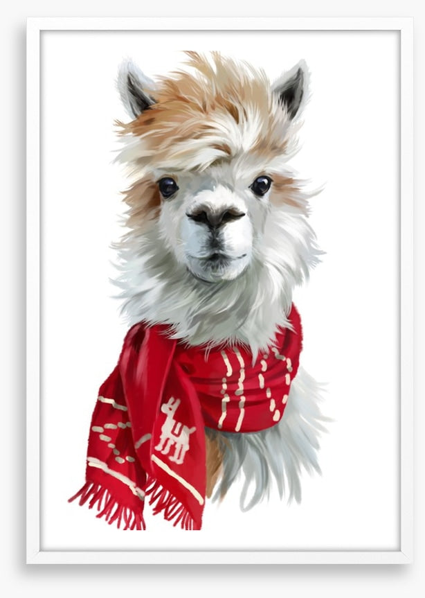 Chilly alpaca