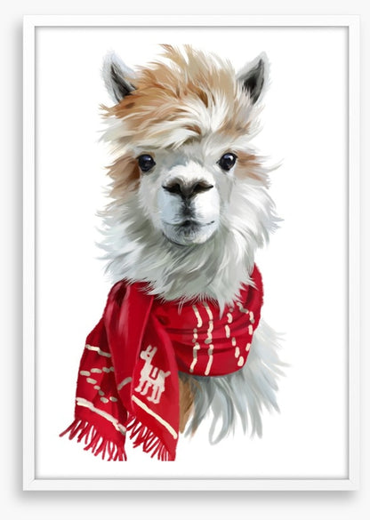 Chilly alpaca