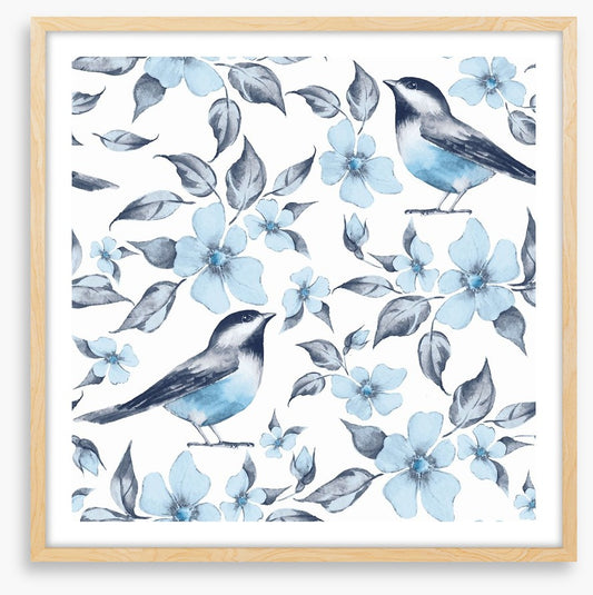 Bluebird blues