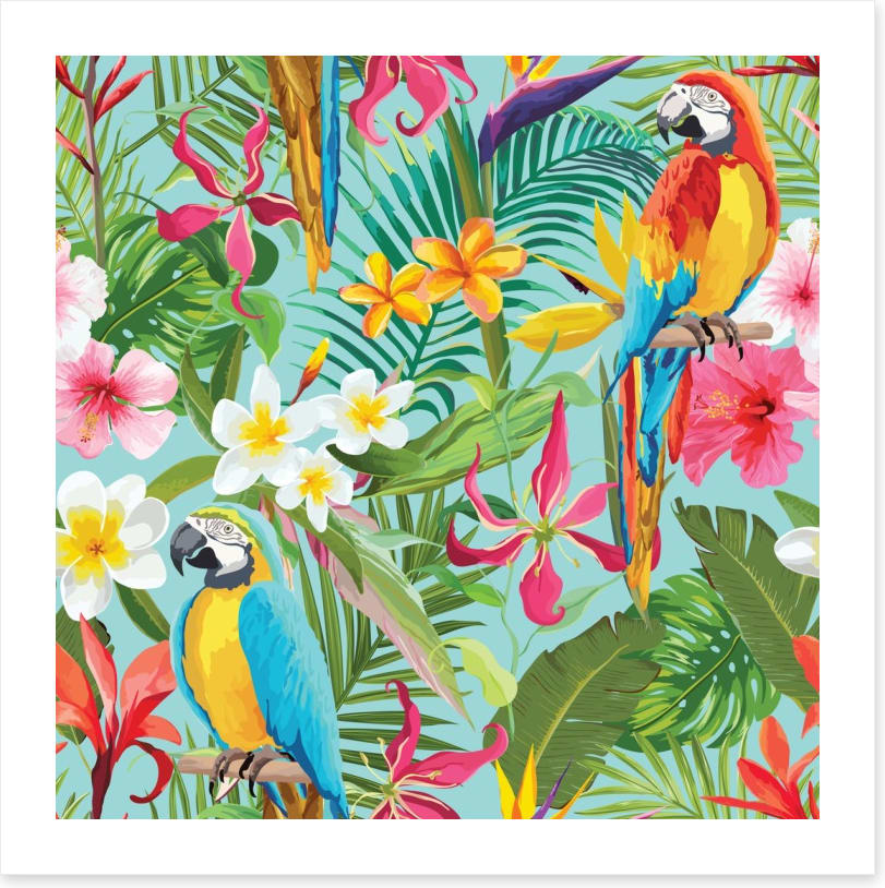 Paradise parrots