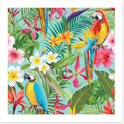 Paradise parrots