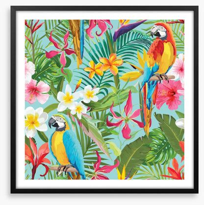 Paradise parrots