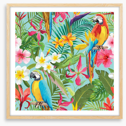 Paradise parrots