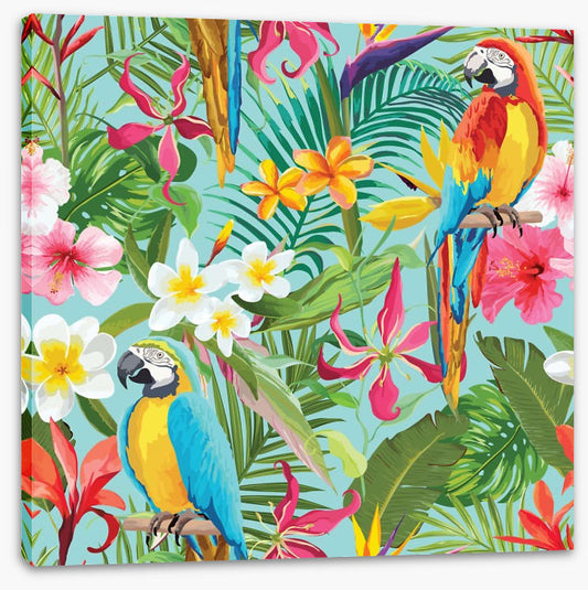 Paradise parrots