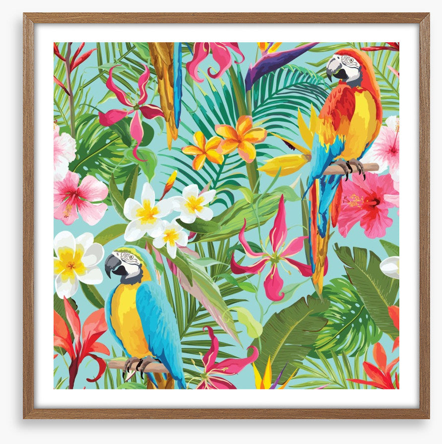 Paradise parrots
