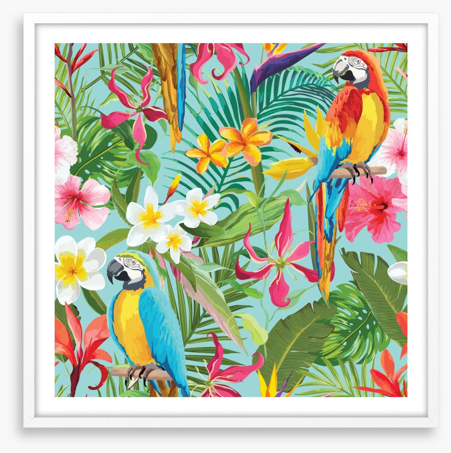 Paradise parrots