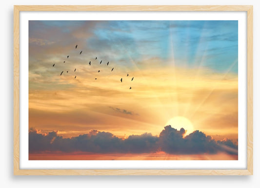 Through the sunbeams