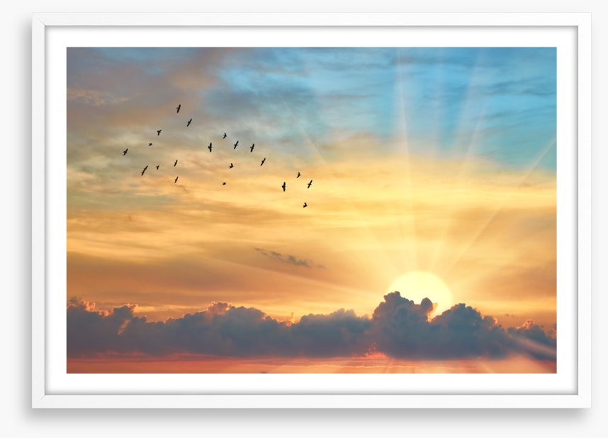 Through the sunbeams