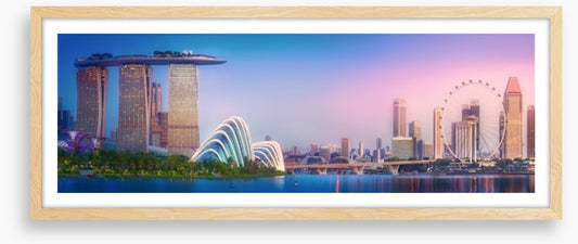 Singapore blush panorama