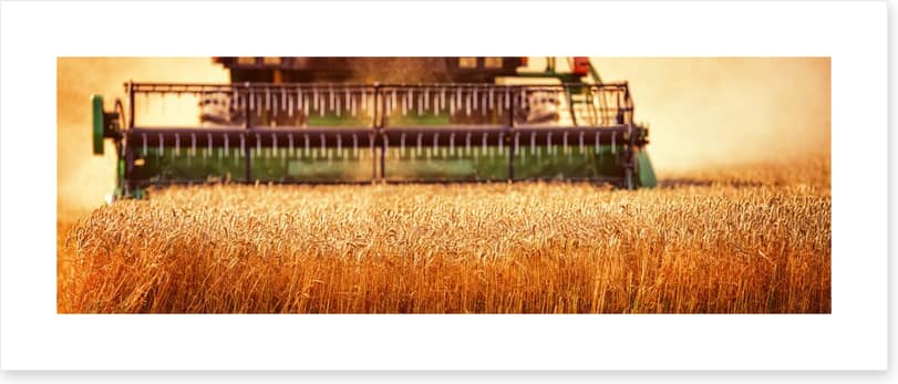 Agriculture