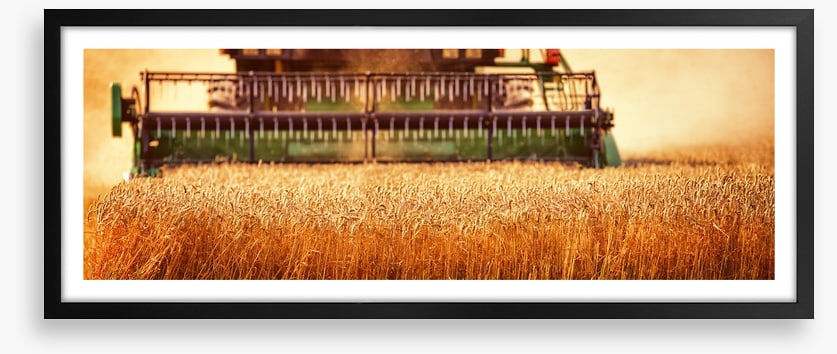 Agriculture