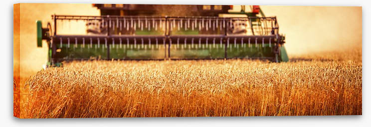 Agriculture