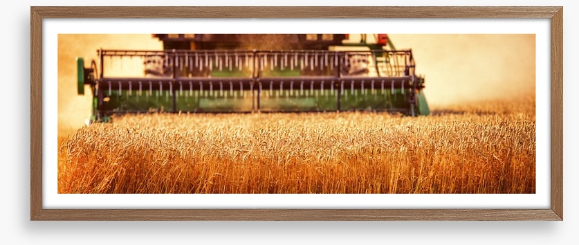 Agriculture
