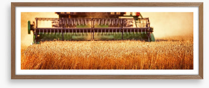 Agriculture