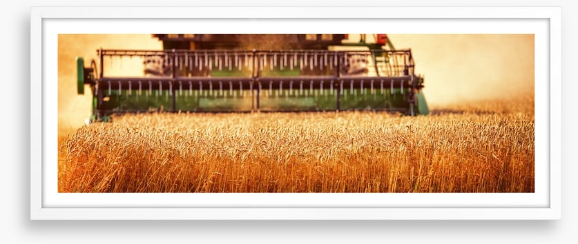 Agriculture