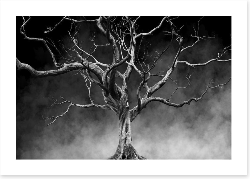 Twisted with time