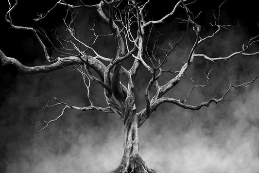 Twisted with time