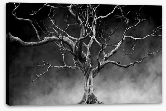 Twisted with time