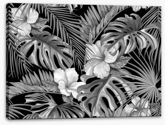 Hibiscus nights