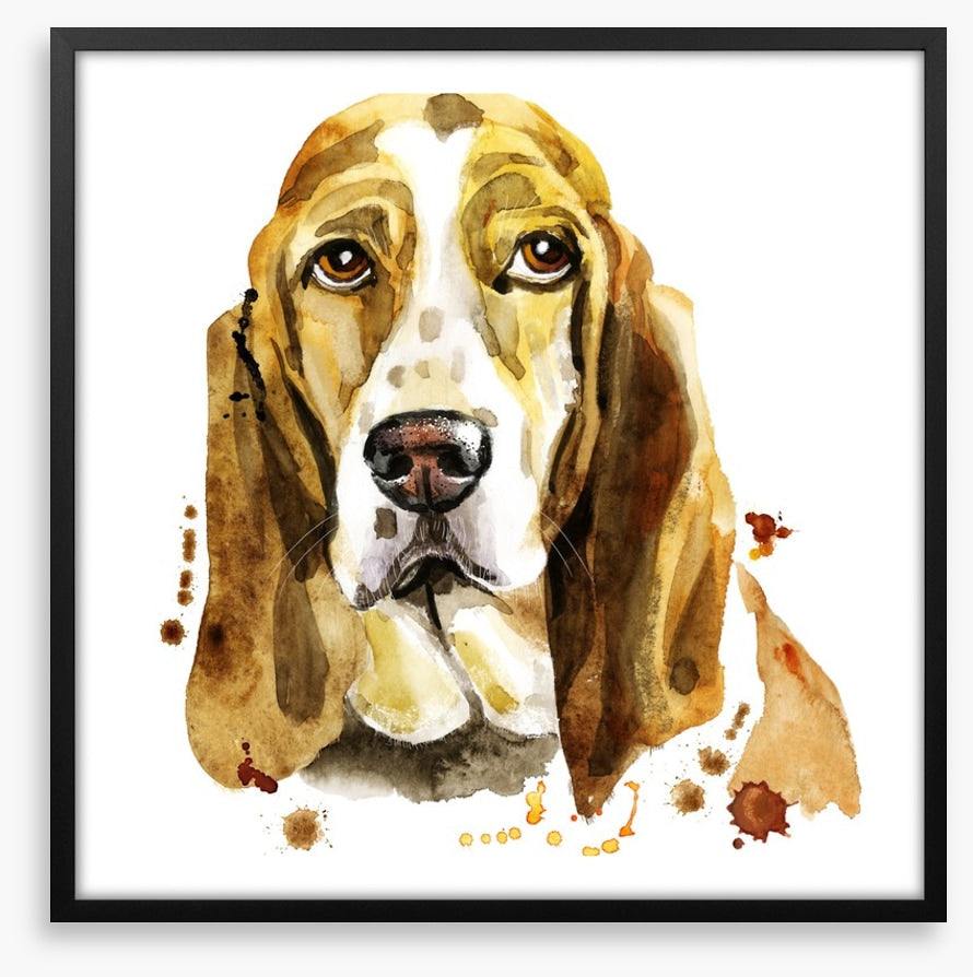 Basset hound blues