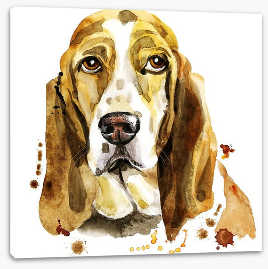Basset hound blues