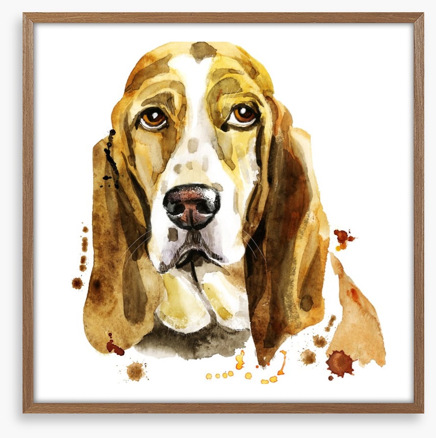 Basset hound blues