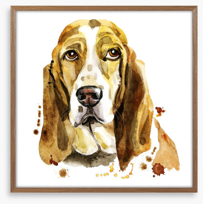 Basset hound blues