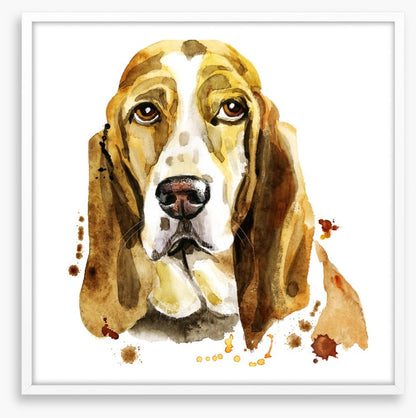 Basset hound blues