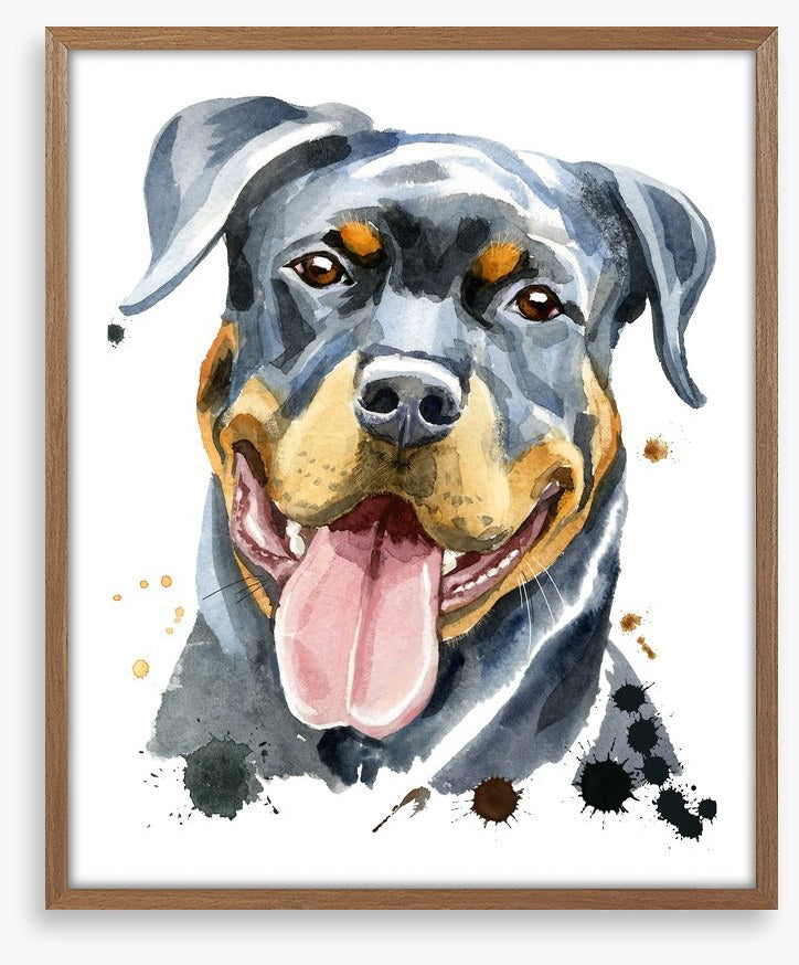Rottweiler splash