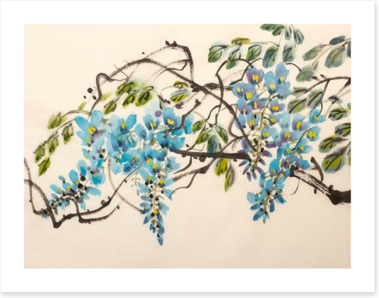 Blue wisteria